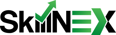 SkillNex Institute logo