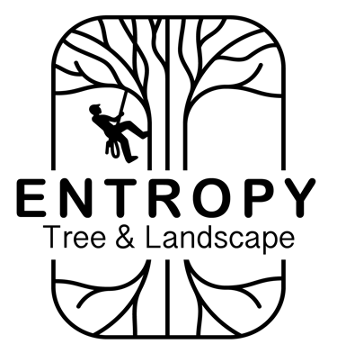 Entropy Tree and Landscape logo