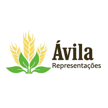 Ávila Naturais Representações logo
