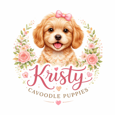 Baolong Cavoodle Home logo