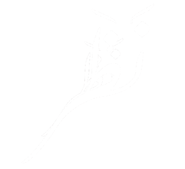 Nazar logo