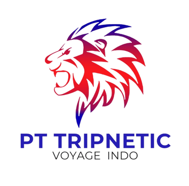 PT TRIPNETIC VOYAGE INDO logo