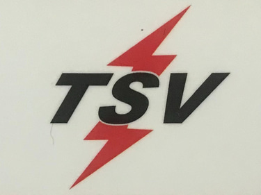 TSV ENTERPRISES logo