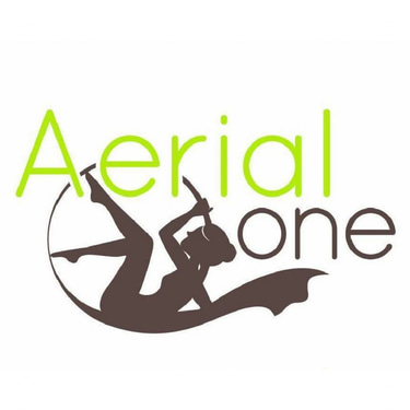 Aerial one studio logo