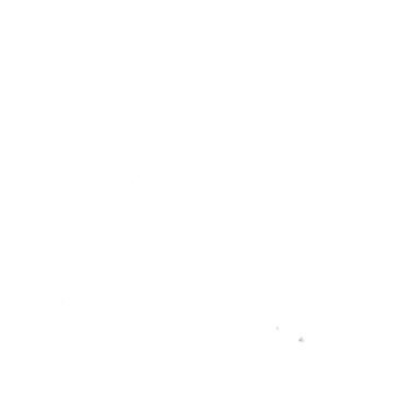 NEX logo