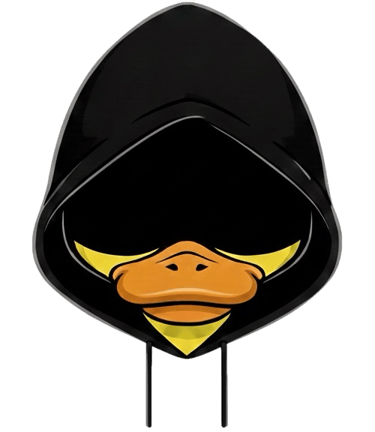 Duckster Digital Solutions logo