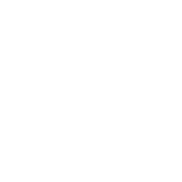 Elizabeth Wong Ahlers for Assembly District 40 logo