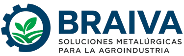 BRAIVA logo