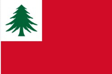 New England Political Party logo