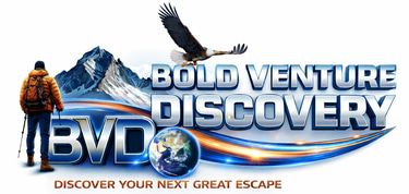 BOLD VENTURE DISCOVERY logo
