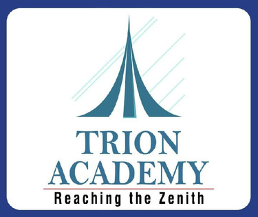 trion academy logo