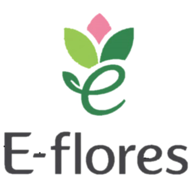 FloraRegalo logo