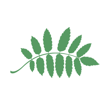 La Collina dei Nebrodi logo