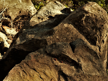 Obscure Perspectives logo