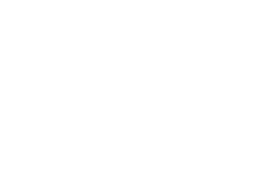 SKLR detailing logo