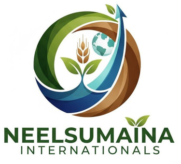 NEELSUMAINA INTERNATIONAL PRIVATE LIMITED logo