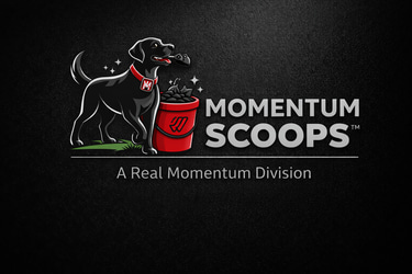 Real Momentum Property Hygiene logo