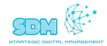 SDM Consulting logo