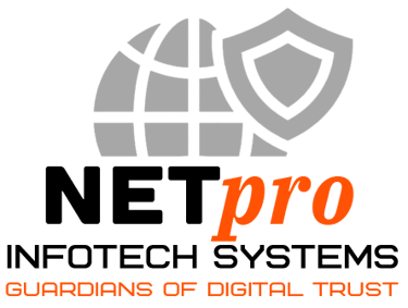 Netpro Infotech Systems logo