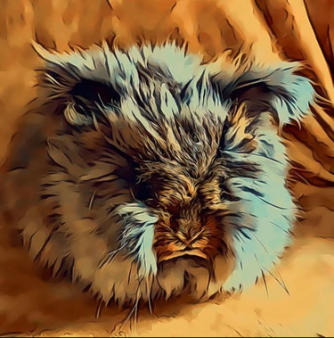 Fur-Ever Angora logo