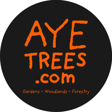 Aye Trees logo