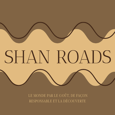 Shanroads.voyage logo