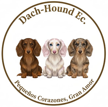 Dach-Hound.com logo