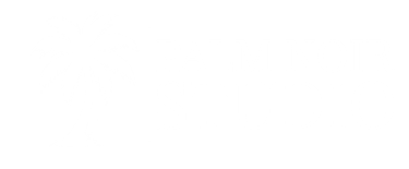 Palm Noir Studio logo