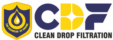 BluePeak Digital logo