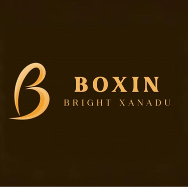 Guangzhou Boxin Packaging Technology logo