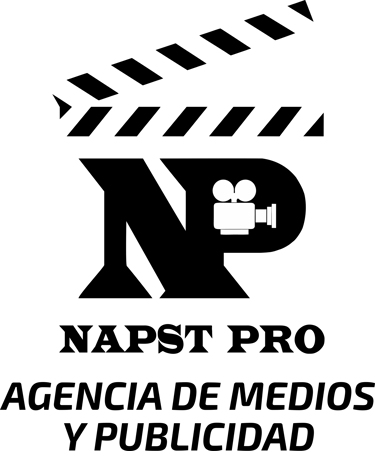 NapstPro logo