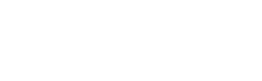 Steel and Loft Company logo