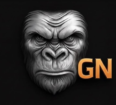 GN logo