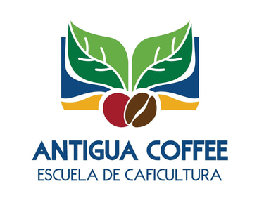 Escuela Antigua Coffee logo