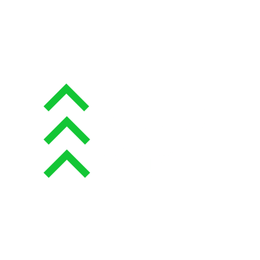 Level Up Sites logo