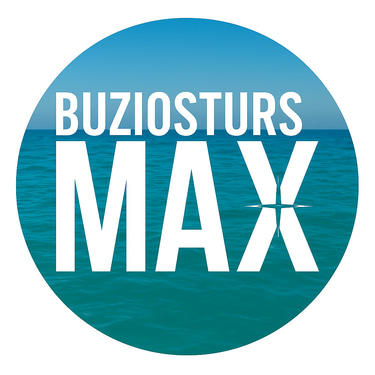 Buziosturs Max logo