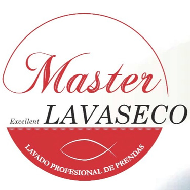 Lavaseco Master Excellent logo