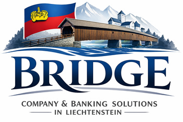 Bridge Consulting logo