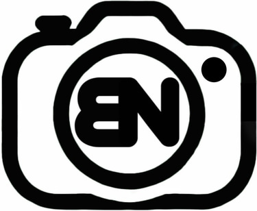 Brand Nest Social Media Marketing logo