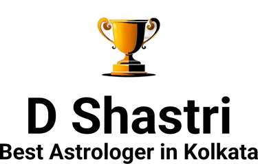 Astrologer D Shastri The Best Astrologer In Kolkata logo