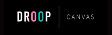 droopcanvas logo