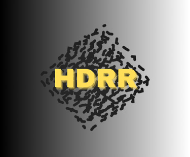 HDRR logo