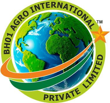 BH01 AGRO INTERNATIONAL PRIVATE LIMITED logo