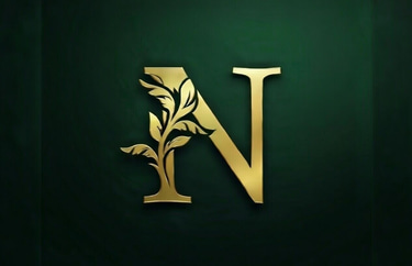 Nexus Immobilier Océan Indien logo