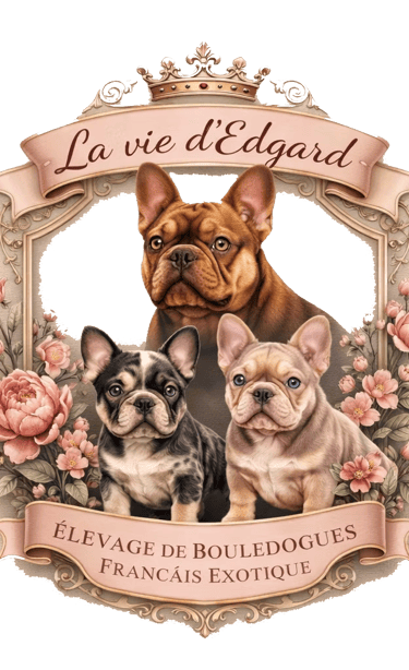 La Vie d’Edgard logo