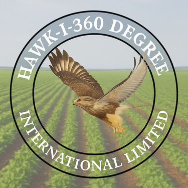 HAWK-I-360-DEGREE INTL,. LTD. logo