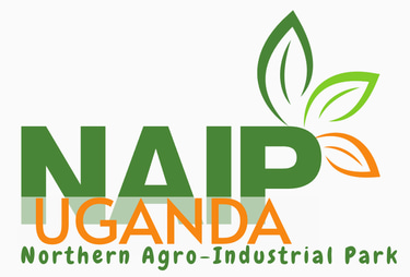NAIP logo