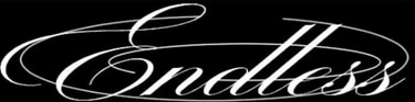 Endless logo