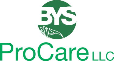 BYS ProCare logo