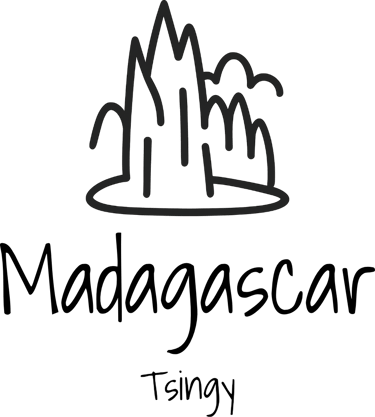 Madagascar-tours logo
